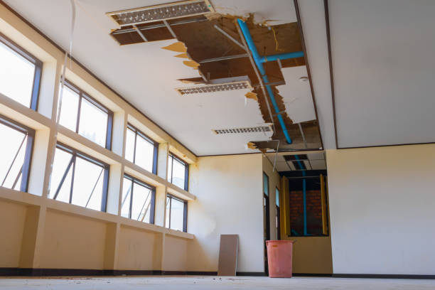 Best Flood damage cleanup  in Auburn, CA