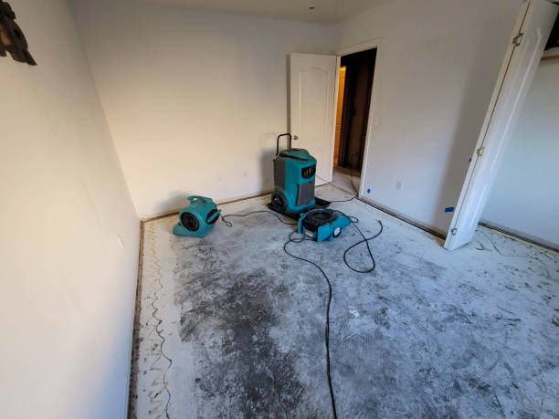 Best Flood restoration services  in Auburn, CA