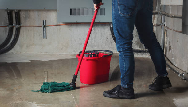 Best Flood damage cleanup  in Auburn, CA