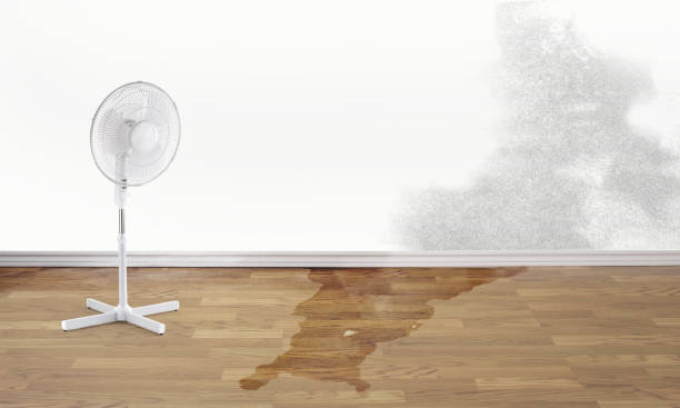 Best Flood restoration services  in Auburn, CA