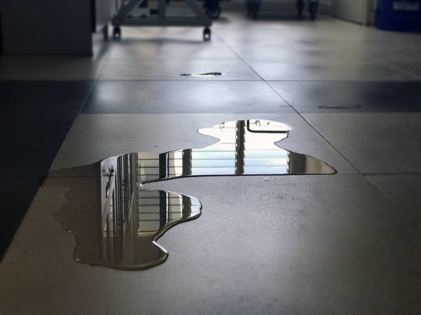 Best Water damage restoration near me  in Auburn, CA