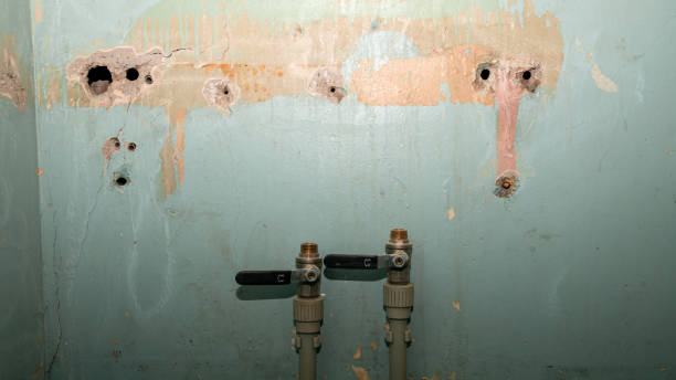Best Water damage restoration near me  in Auburn, CA