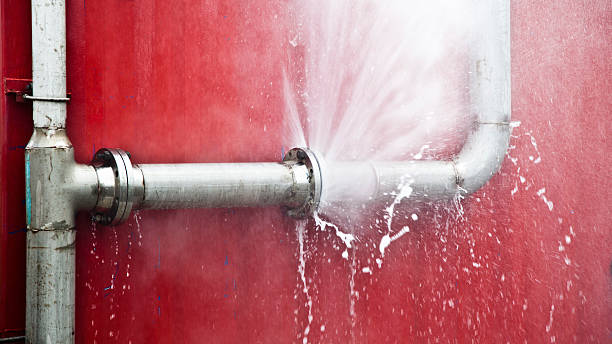Best Professional water damage repair  in Auburn, CA